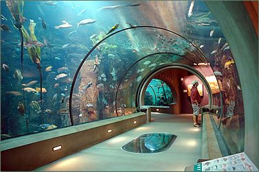 One Million Gallons of Astonishment
